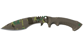 Boreal Forest image
