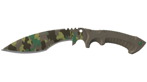 Boreal Forest image