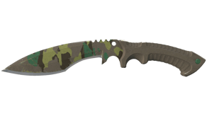 Boreal Forest image