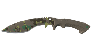 Boreal Forest image