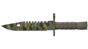 Boreal Forest image