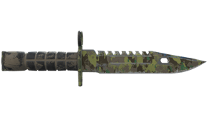 Boreal Forest image