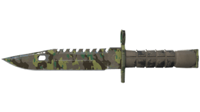 Boreal Forest image