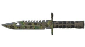 Boreal Forest image