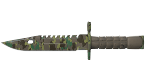 Boreal Forest image