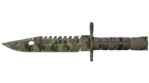 Boreal Forest image