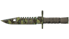 Boreal Forest image