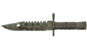 Boreal Forest image