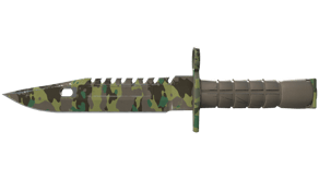Boreal Forest image