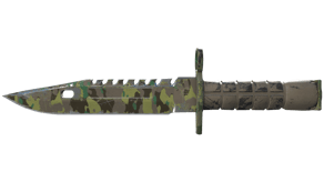 Boreal Forest image
