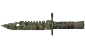 Boreal Forest image