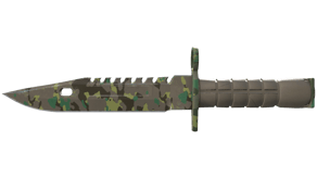Boreal Forest image
