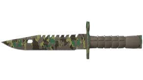 Boreal Forest image