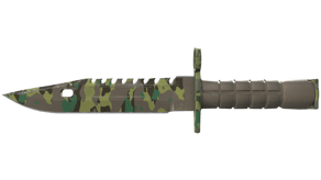 Boreal Forest image