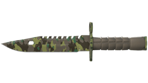 Boreal Forest image