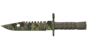 Boreal Forest image