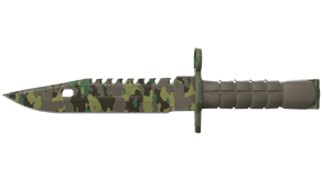 Boreal Forest image