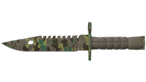 Boreal Forest image