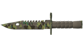 Boreal Forest image