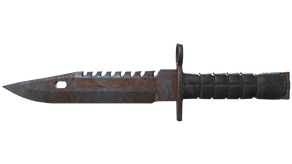 Rust Coat image