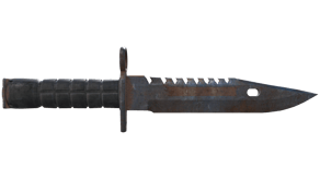 Rust Coat image