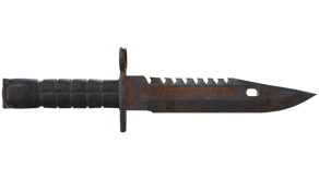 Rust Coat image