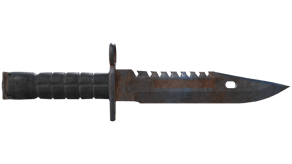 Rust Coat image