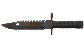 Rust Coat image