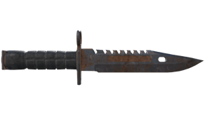 Rust Coat image