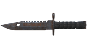 Rust Coat image