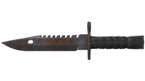 Rust Coat image