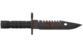 Rust Coat image