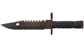 Rust Coat image