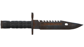 Rust Coat image