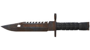 Rust Coat image