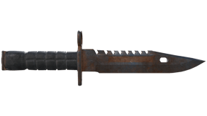 Rust Coat image