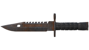 Rust Coat image