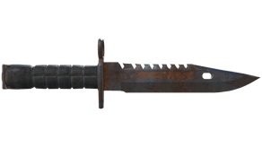 Rust Coat image