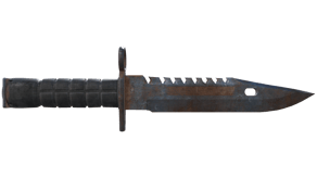 Rust Coat image