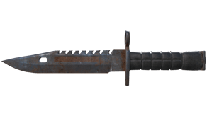 Rust Coat image