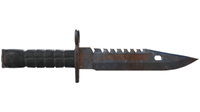 Rust Coat image