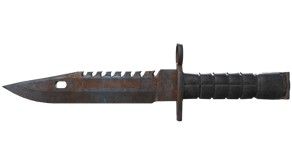 Rust Coat image