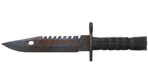 Rust Coat image