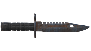 Rust Coat image