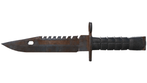 Rust Coat image