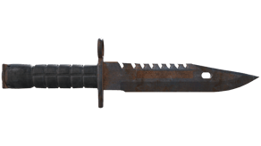 Rust Coat image