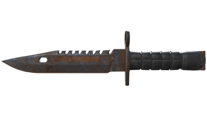 Rust Coat image