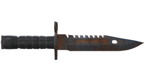 Rust Coat image