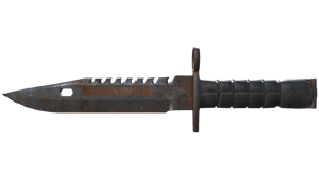 Rust Coat image
