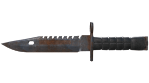Rust Coat image